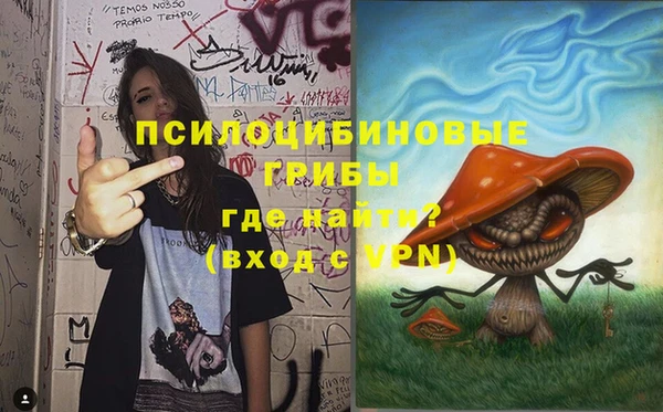 дурь Верхний Тагил